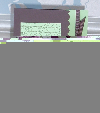 sl371606 Chocolate Lime
