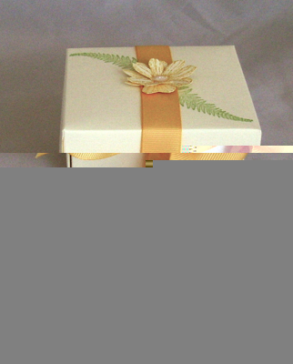 sl372241-copy sl372241-copy
