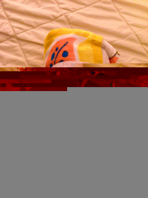 towel