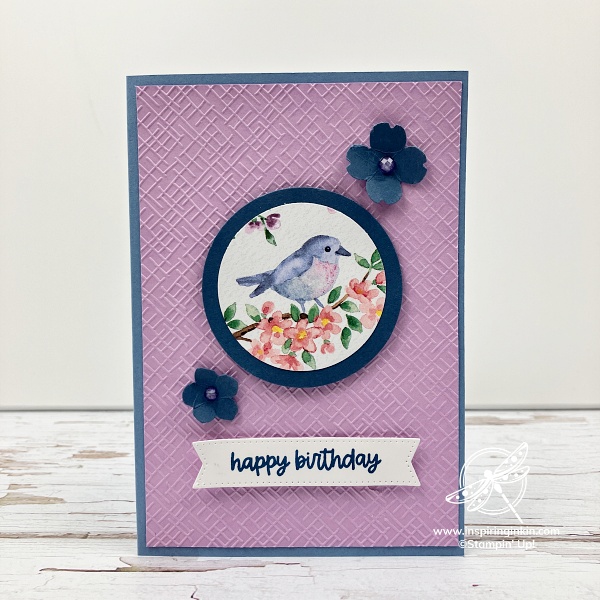 Flight & Airy Circle Punched Birthday Card Amanda Fowler Inspiring Inkin Stampin'Up! UK